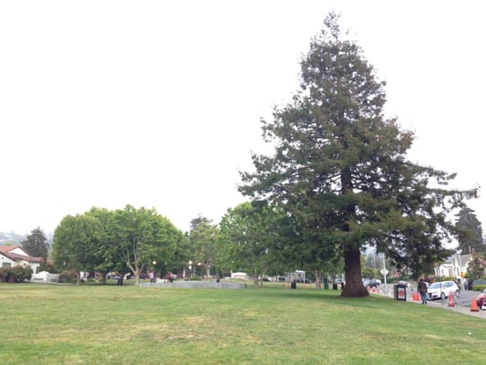 Memorial Park by null