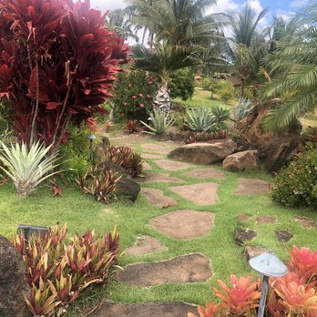Punakea Palms - Paths at the farm. - Tours Near Me - Lahaina, Hawaii
