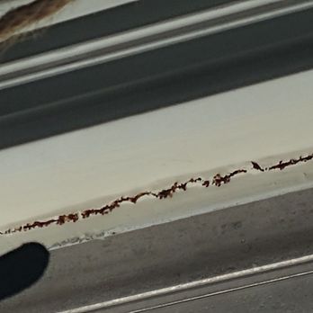 eaves San Dimas Canyon - Termites eating up window frame apartment 58. - Apartments Near Me - San Dimas, California eaves San Dimas Canyon - Termites eating up window frame apartment 58. - Apartments Near Me - San Dimas, California
