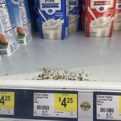 Mold
