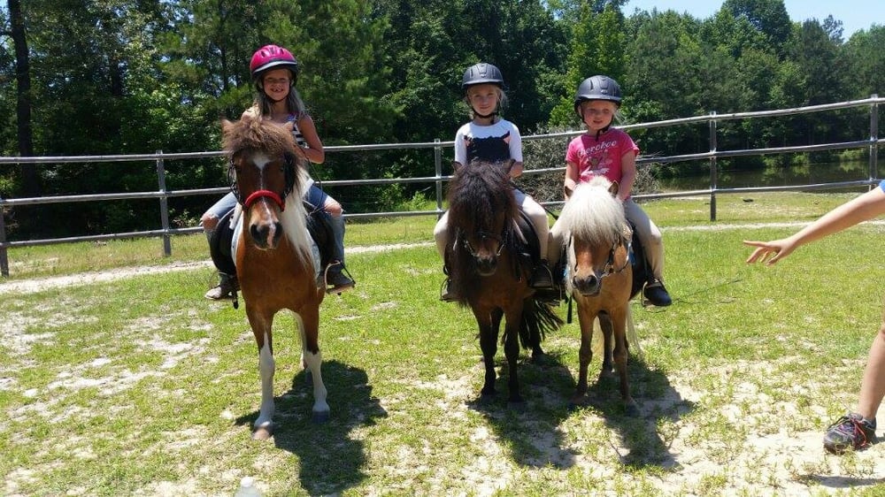 Pony Gang Horse Crazy Camp - equestrian in Hopkins, SC