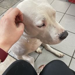 A very good girl A very good girl