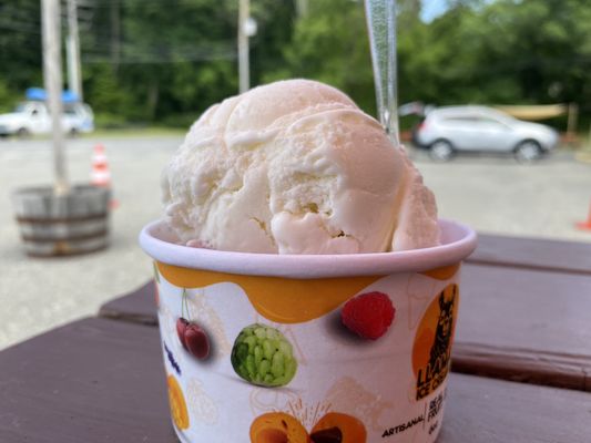 Llama Ice Cream by null