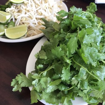 Trang Le - Garnish - Vietnamese Near Me - Broken Arrow, Oklahoma Trang Le - Garnish - Vietnamese Near Me - Broken Arrow, Oklahoma