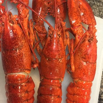 Bar Harbor Seafood - My fav lobster - Seafood Near Me - Orlando, Florida Bar Harbor Seafood - My fav lobster - Seafood Near Me - Orlando, Florida