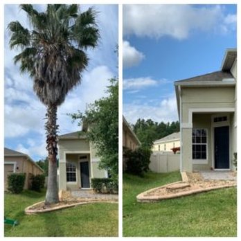 TNA Tree Service - Tree Services Near Me - Rancho Cucamonga, California