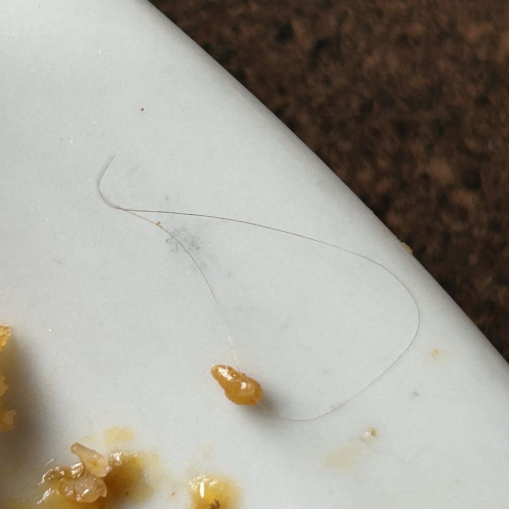 Hair