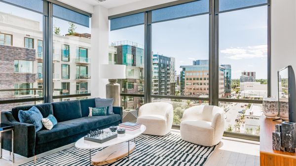 St Paul Collection by null