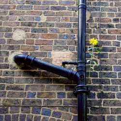 Shaffer’s Drain Cleaning