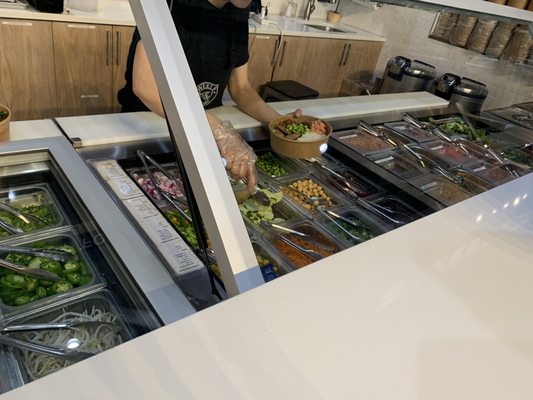 Sweet Tuna Halcyon by null