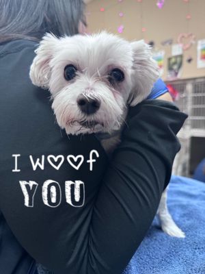 Compounded Solutions In Pharmacy