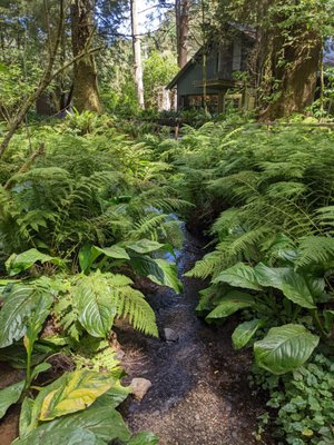 Prehistoric Gardens by null