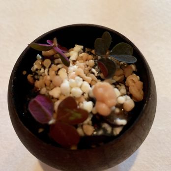 Oriole - Foie gras mousse, blueberries, creme fraiche - New American Near Me - Chicago, Illinois Oriole - Foie gras mousse, blueberries, creme fraiche - New American Near Me - Chicago, Illinois