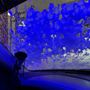 Photo of Super Star Car Wash - McElwain Rd & Clinton Keith Rd