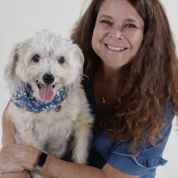 Pet Poses Photography - Pet photography of our precious senior schnoodle who just diagnosed with TCC. #cancersucks - Pet Photography Near Me - San Francisco, California Pet Poses Photography - Pet photography of our precious senior schnoodle who just diagnosed with TCC. #cancersucks - Pet Photography Near Me - San Francisco, California