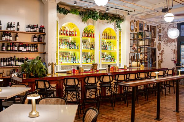 Brother Wolf by null