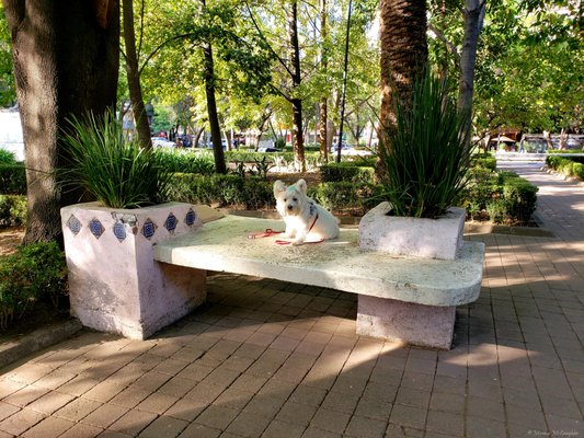 Parque Lincoln by null
