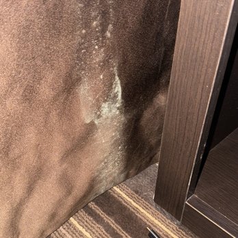 Best Western Monticello Gateway Inn - Mold on the sheets - Hotels Near Me - Monticello, Illinois