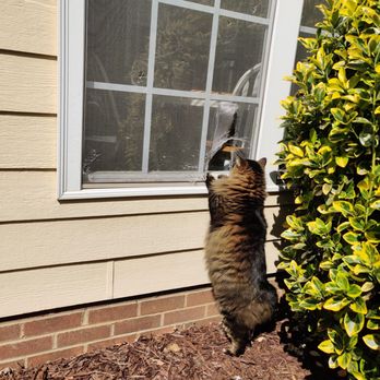 Screenzz Window Screen Repair - Windows Installation Near Me Screenzz Window Screen Repair - Windows Installation Near Me