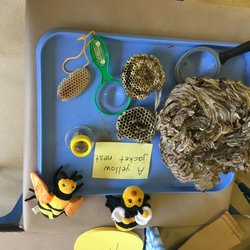 Eastgate Cooperative Preschool - Hands-on science experiments encourage children to use science tools to learn about the natural world around them.