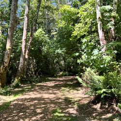 Friends of Wildwoods - Friends of Wildwoods Trail