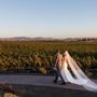 Genevieve Nisly Photography