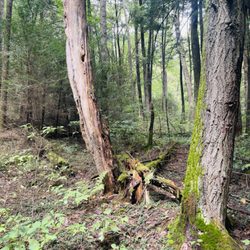 Endless Wall Trail