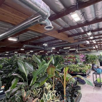 Deep Roots Garden Center - Nurseries & Gardening Near Me - Torrance, California Deep Roots Garden Center - Nurseries & Gardening Near Me - Torrance, California