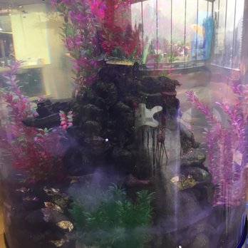 Clínica Alemana - A fish tank! - Hospitals Near Me - Santiago, RM