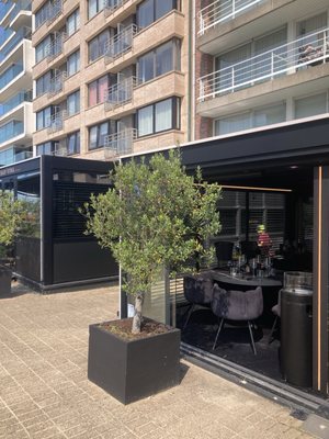 Alexandra🇧🇪 by null