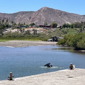 Rio Real Estate - I'm Benjamin Pride a licensed general contractor in the United States now doing real estate in the Baja. - Real Estate Agents Near Me - Cabo San Lucas, BCS