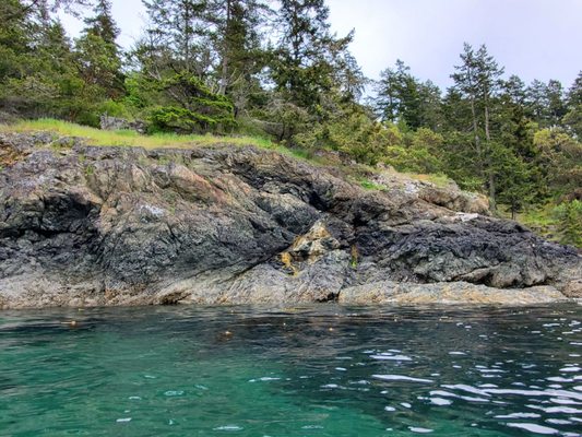 Discovery Sea Kayak Tours by null