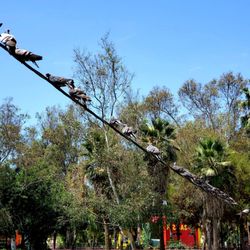 Parque de la Amistad