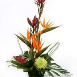 Sarah's Florist