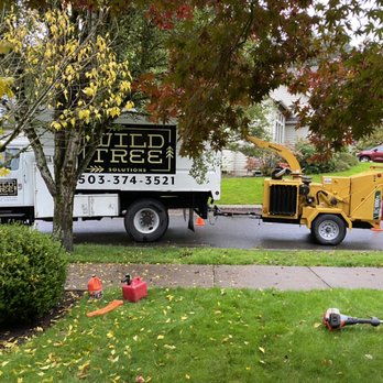 Wild Tree Solutions - Tree Services Near Me Wild Tree Solutions - Tree Services Near Me