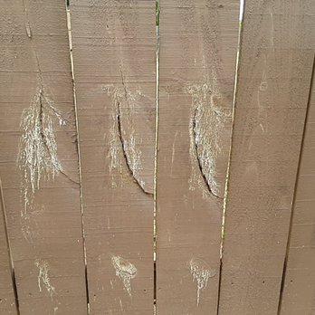 Champion Fence - Fences & Gates Near Me - Louisville, Tennessee