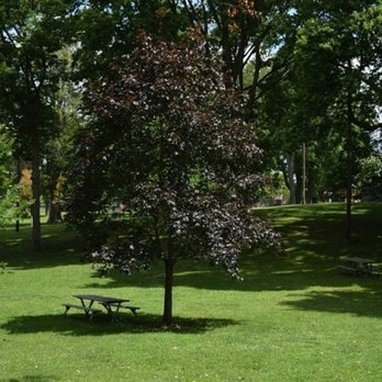 Craig Park - Parks Near Me - Greenwood, Indiana