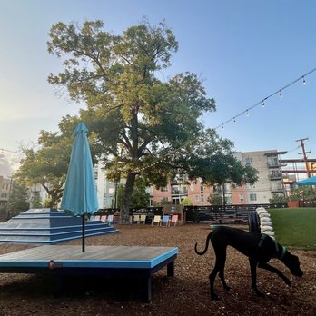 Hops & Hounds - Dog park - Dog Parks Near Me - San Antonio, Texas