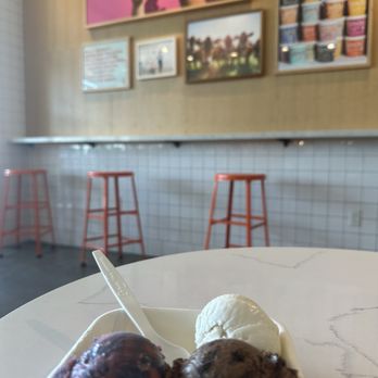 Jeni's Splendid Ice Creams - Ice Cream & Frozen Yogurt Near Me - Tampa, Florida Jeni's Splendid Ice Creams - Ice Cream & Frozen Yogurt Near Me - Tampa, Florida