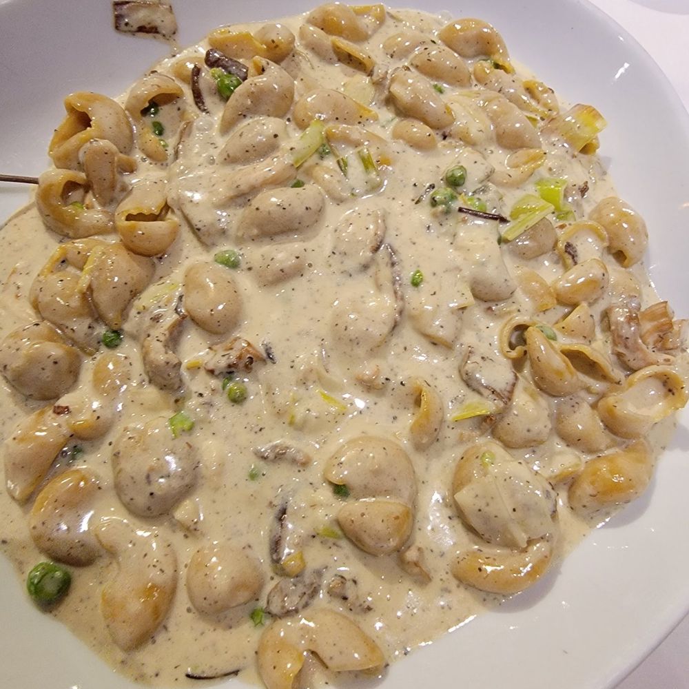 Cheese wheel pasta Cheese wheel pasta