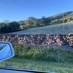 Downtown Berryville - Love these stone walls