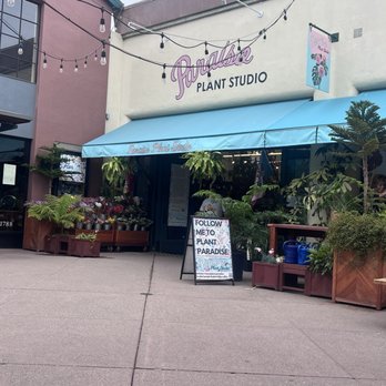 Paraíso Plant Studio - Nurseries & Gardening Near Me - Berkeley, California Paraíso Plant Studio - Nurseries & Gardening Near Me - Berkeley, California