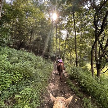Smoky Mountain Trail Rides - Trail ride - Horseback Riding Near Me - Marshall, North Carolina