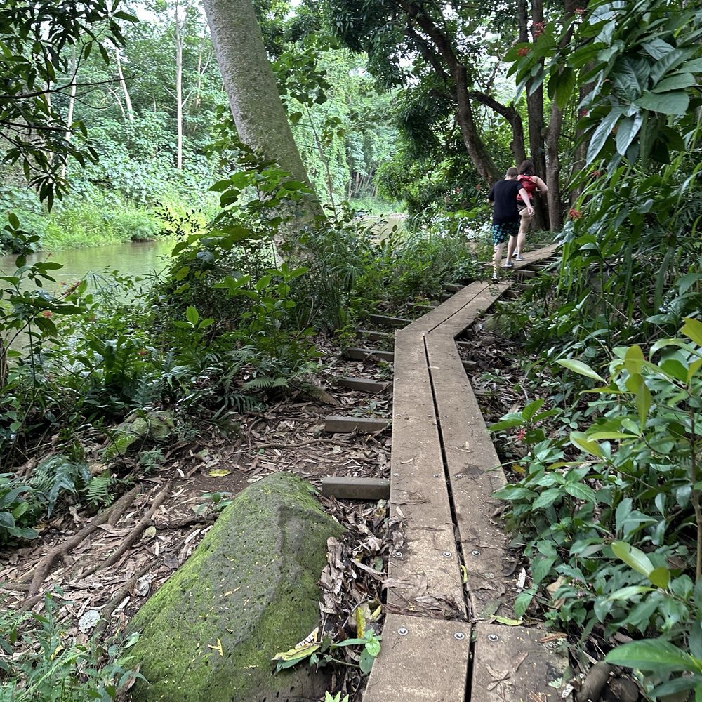 The boardwalk that is on part of the trail.