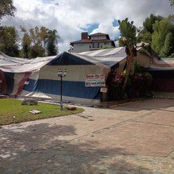 Save On Pest Control & Termites - FUME FOR DRYWOOD TERMITES