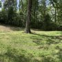 Photo of Atlanta Arbor Tree Care Specialist