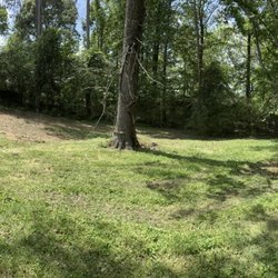 Atlanta Arbor Tree Care Specialist - This is what it looks like now!  Great job!