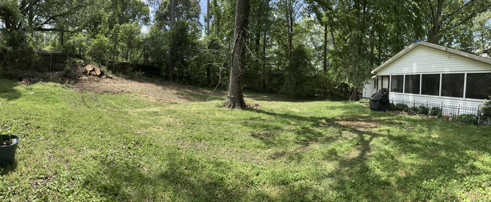 Atlanta Arbor Tree Care Specialist - tree service in Marietta, GA