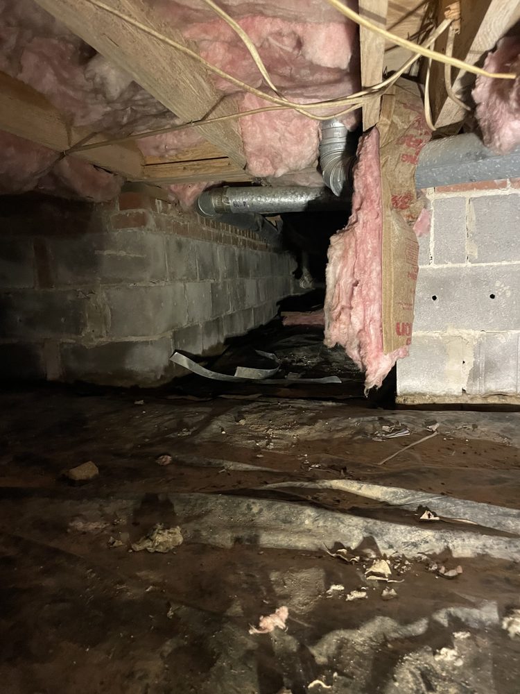 Slide of S F quality plumbing