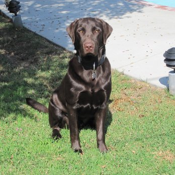 TrueCare for pets - Veterinarians Near Me - Studio City, California TrueCare for pets - Veterinarians Near Me - Studio City, California
